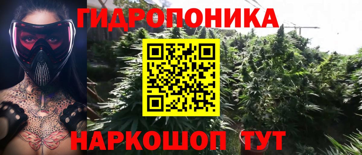 Конопля планчик Серов